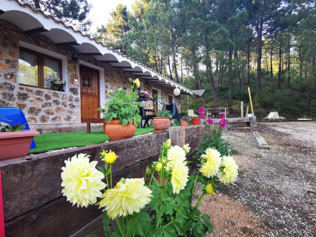 een huis met bloemen voor een tuin bij Chalet de Montaña Parque Natural Calar Río Mundo - Independiente - Wifi in Riópar