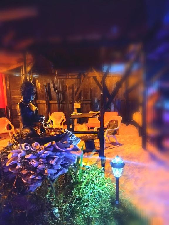 Vrt pred nastanitvijo Tipiland baru la casa del mono