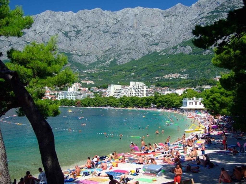Příroda nedaleko apartmánu