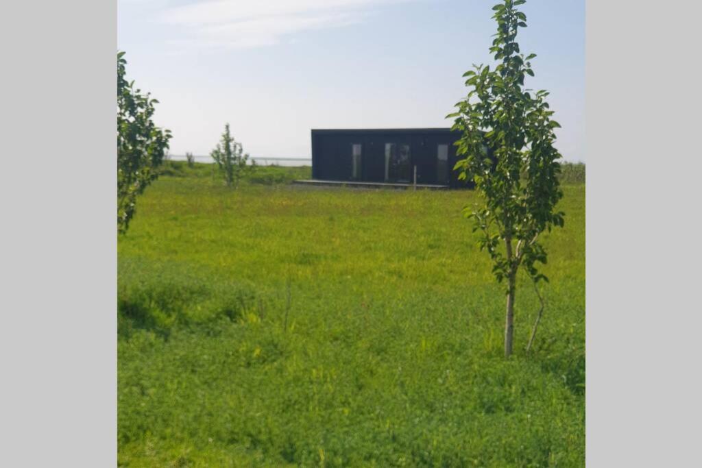 un albero in un campo con un edificio sullo sfondo di Hólmasel Riverside Cabin 2 a Arabaer