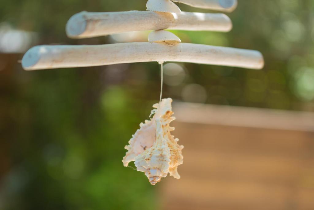 a piece of meat hanging from a bird feeder at Casa Dina in Lefkada Town