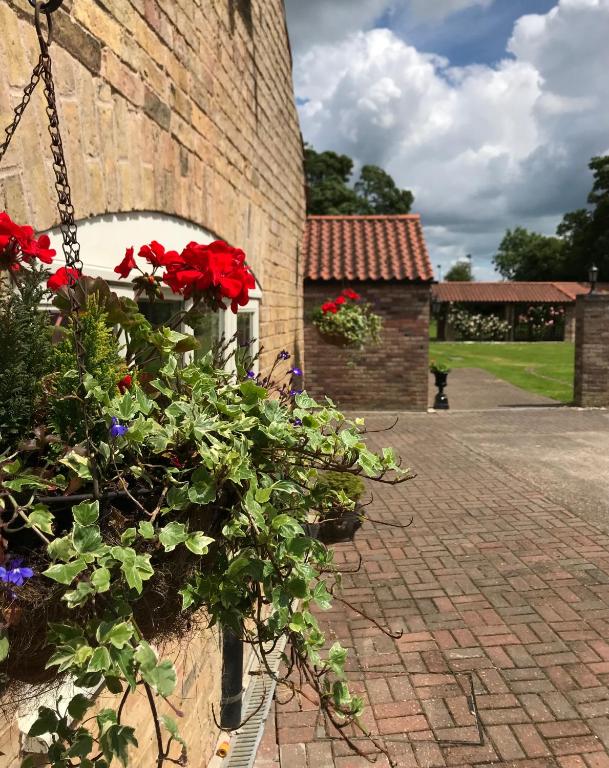 Charming Hen Cottage Countryside Retreat Lincoln - Huis Met één Slaapkamer