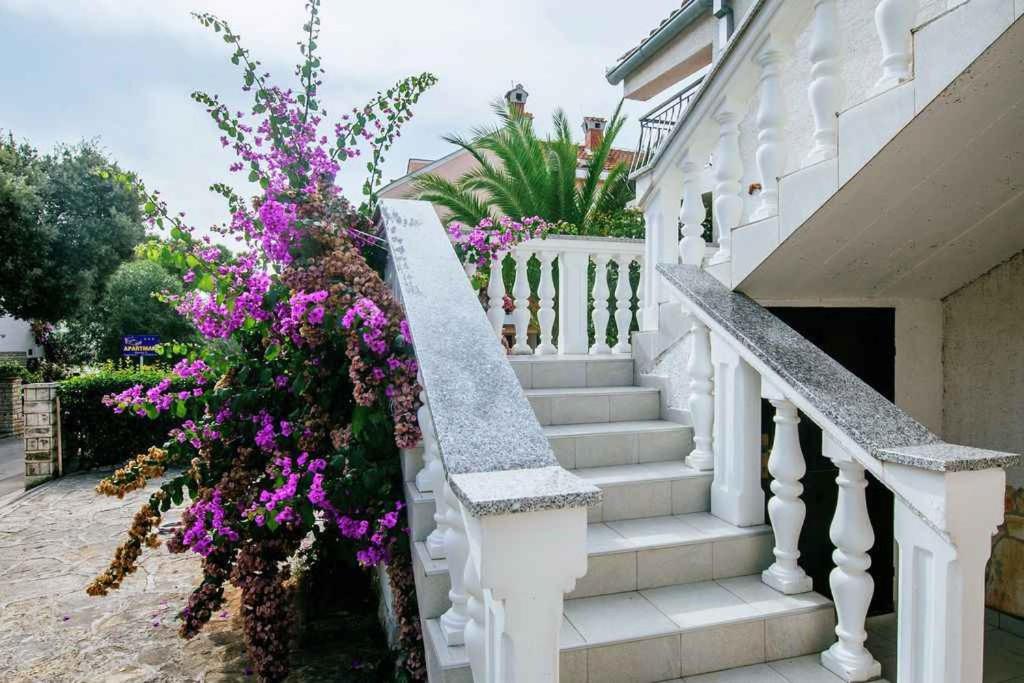 Vonkajšia záhrada v ubytovaní Apartment in Petrcane/Zadar Riviera 7842