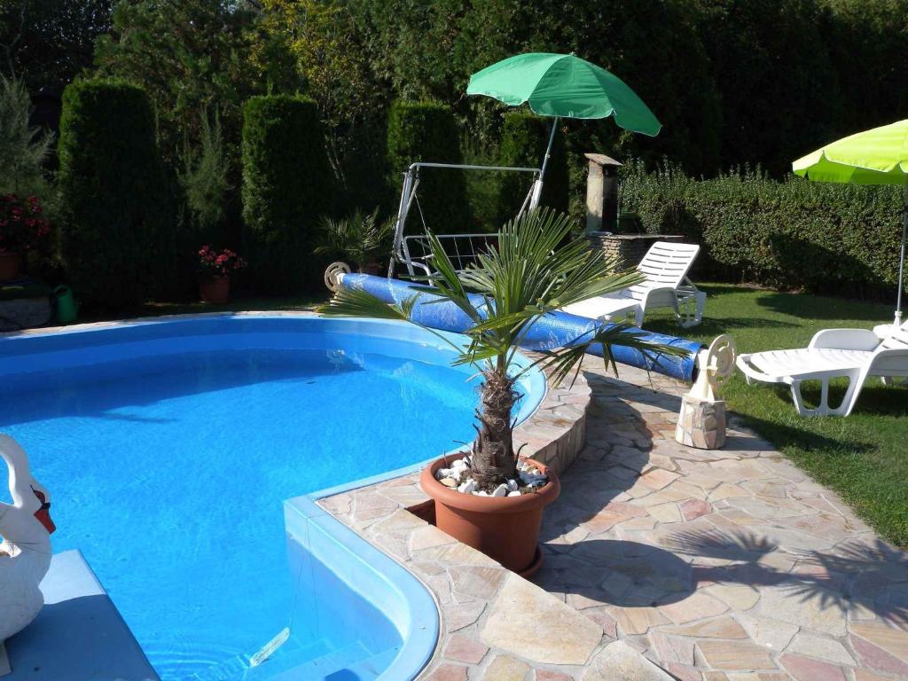 Bazén v ubytovaní Holiday home in Balatonmariafürdo 19325 alebo v jeho blízkosti