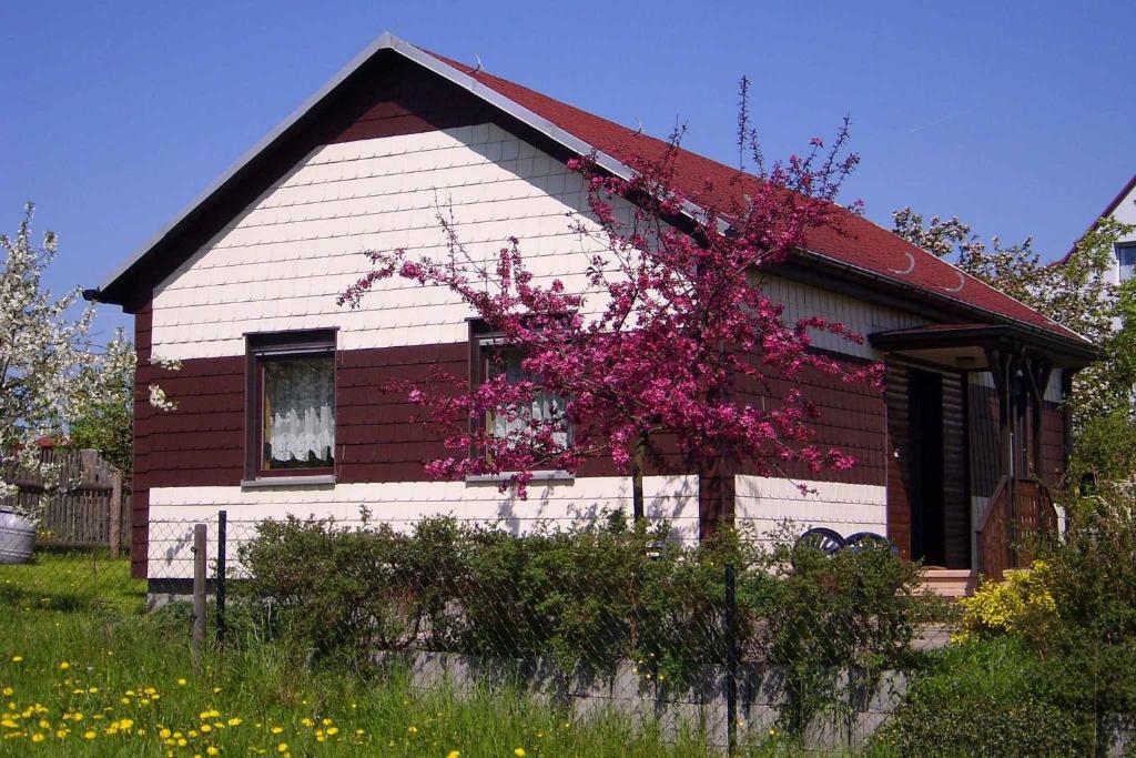 uma casa vermelha e branca com uma árvore com flores rosas em Holiday home in Waltershausen OT Fischbach 3171 em Fischbach