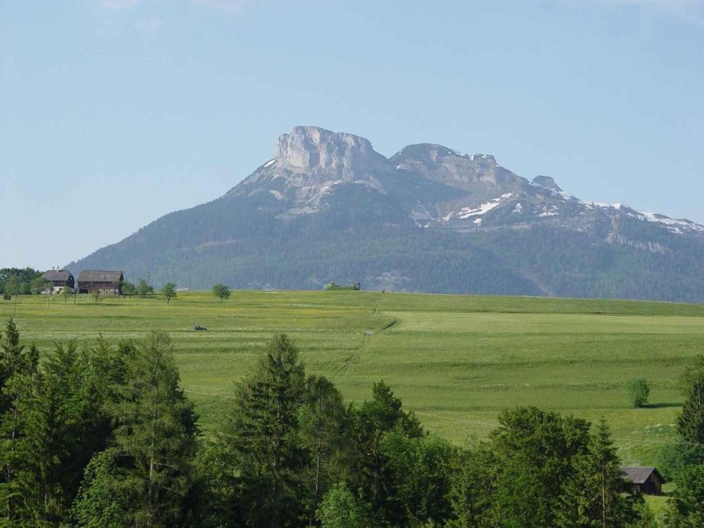 Príroda v okolí apartmánu