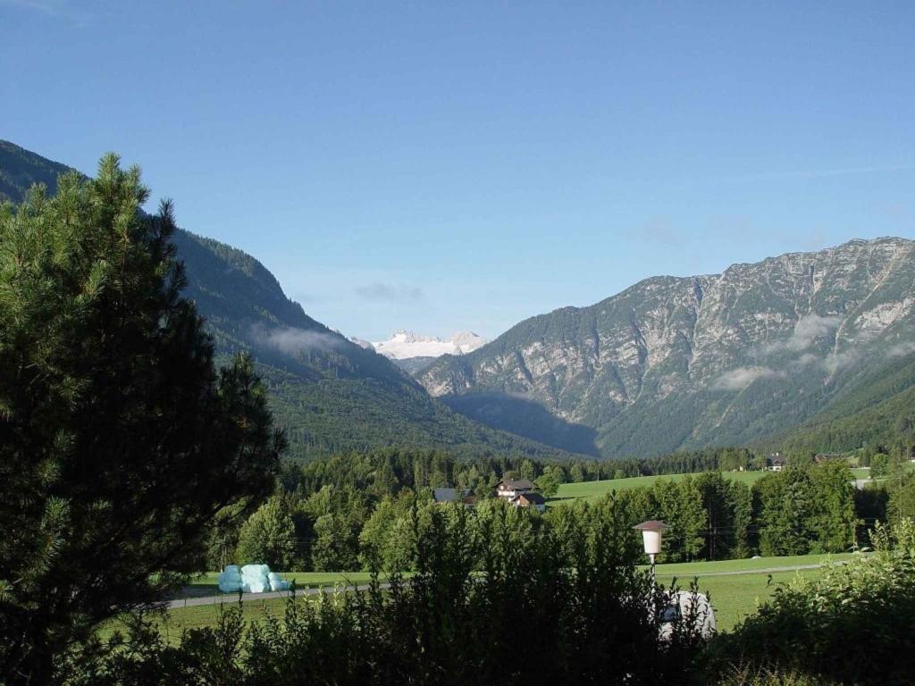 Príroda v okolí apartmánu