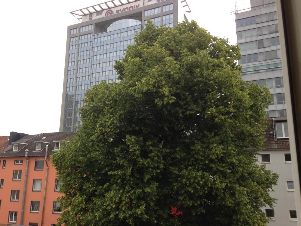 a tree in front of a tall building at Schönes Apartment in Essen in Essen
