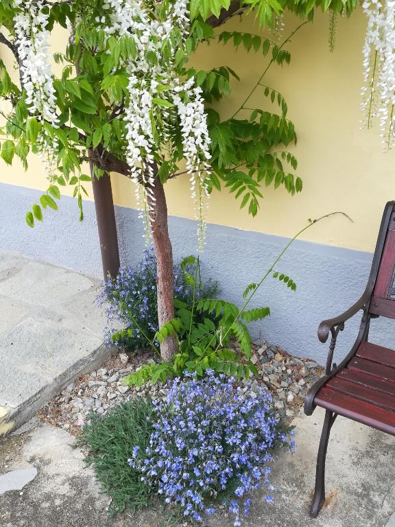 Vonkajšia záhrada v ubytovaní LA CASA DEI MASUE'