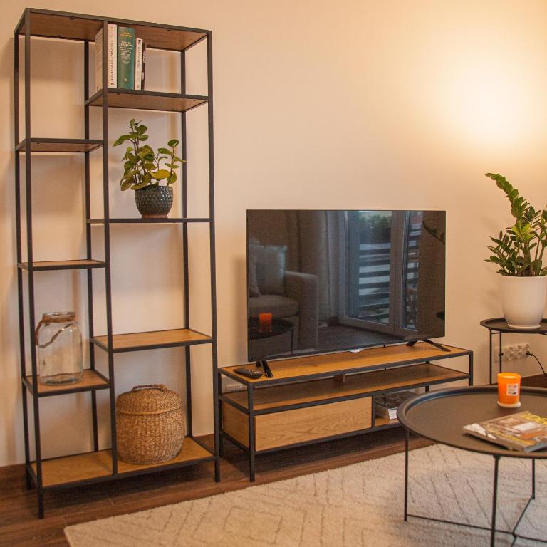 Televízia a/alebo spoločenská miestnosť v ubytovaní Przytulny Apartament Mickiewicza 14 4