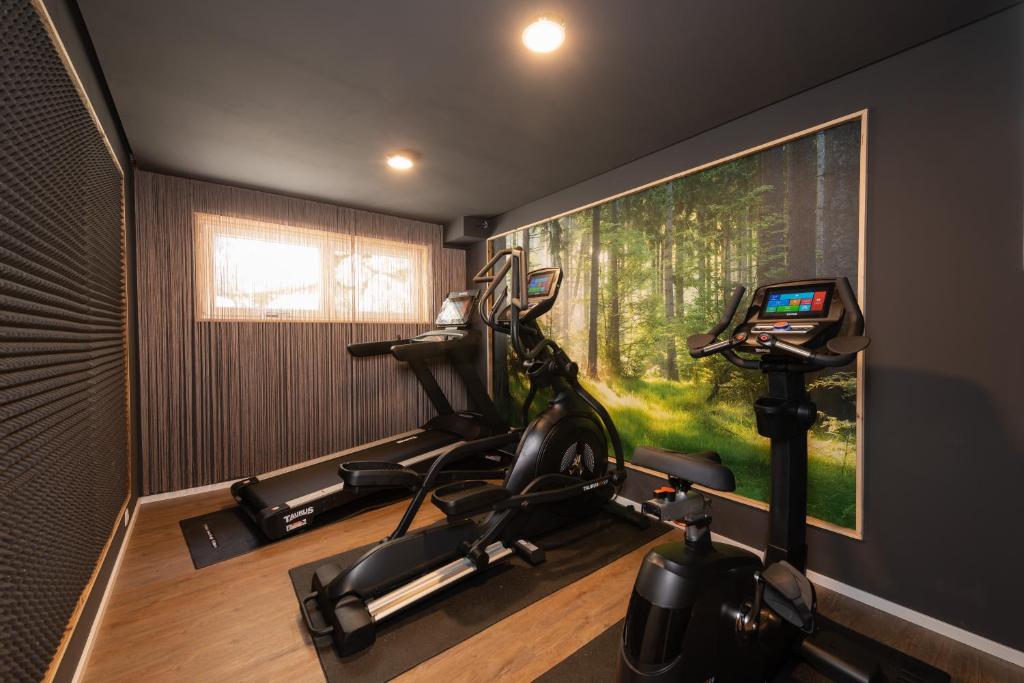 The fitness centre and/or fitness facilities at Landhotel Anna