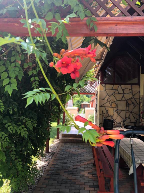Ogród w obiekcie RELAX Apartman