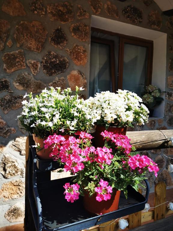Vonkajšia záhrada v ubytovaní Chalet de Montaña Parque Natural Calar Río Mundo - Independiente - Wifi
