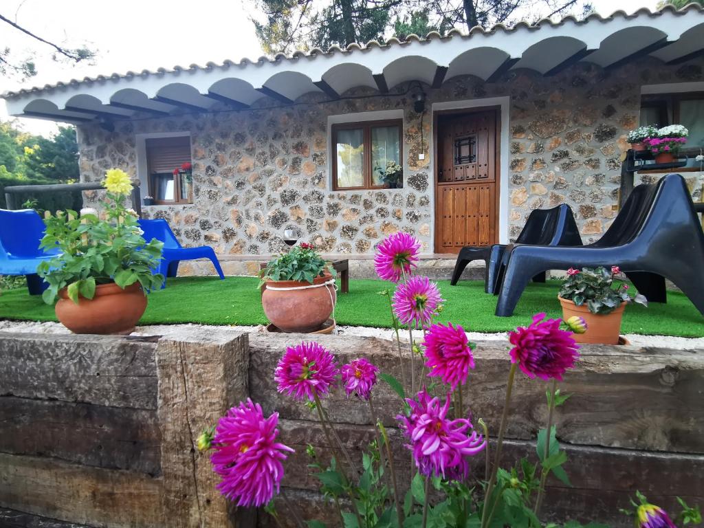 Vonkajšia záhrada v ubytovaní Chalet de Montaña Parque Natural Calar Río Mundo - Independiente - Wifi