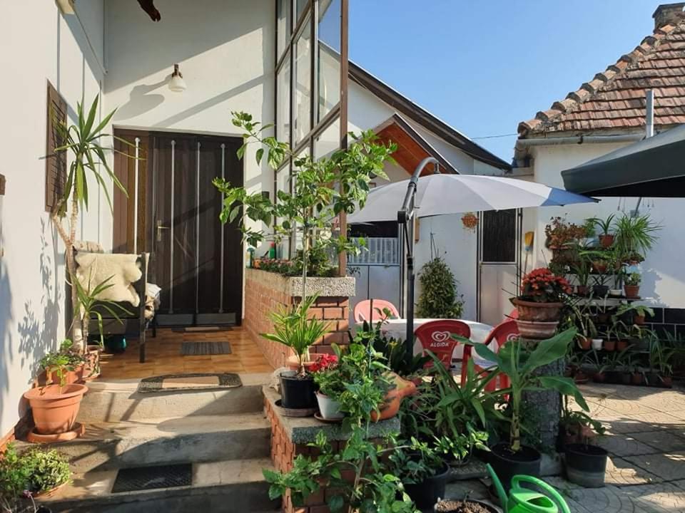un patio con un mucchio di piante e un ombrello di Anna Apartman a Lovas