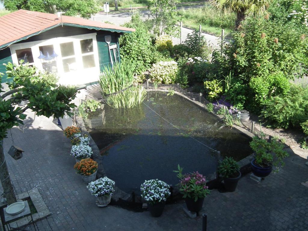 Zahrada ubytování B & B Kaaskenswater