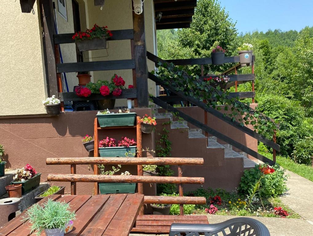 Zahrada ubytování Vidikovac BIJELO POLJE