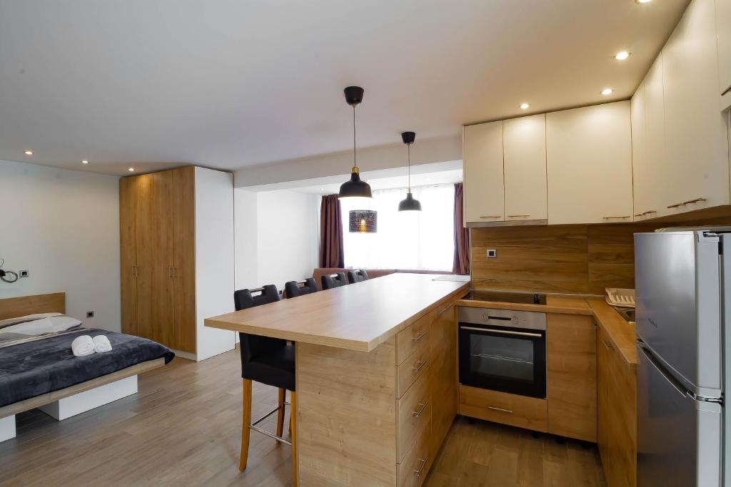 Kuchyň nebo kuchyňský kout v ubytování Apartments Marinici Rijeka - with Private Parking