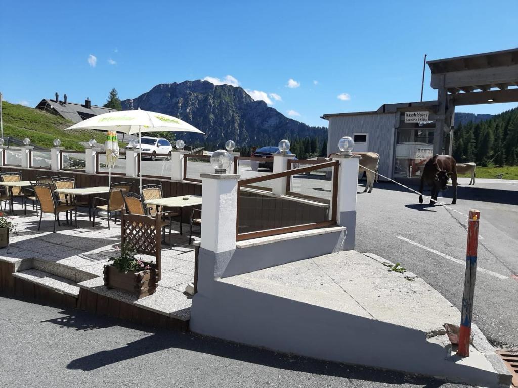 Nespecifikovaný výhled na hory nebo výhled na hory při pohledu z hotelu