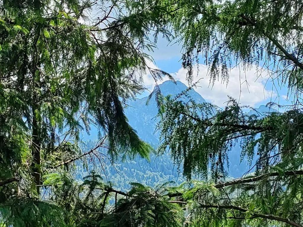 Fotografia z galérie ubytovania Sobiczkowa SUPERIOR v destinácii Kościelisko