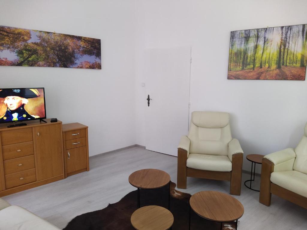 TV a/nebo společenská místnost v ubytování Apartmán Kolonáda