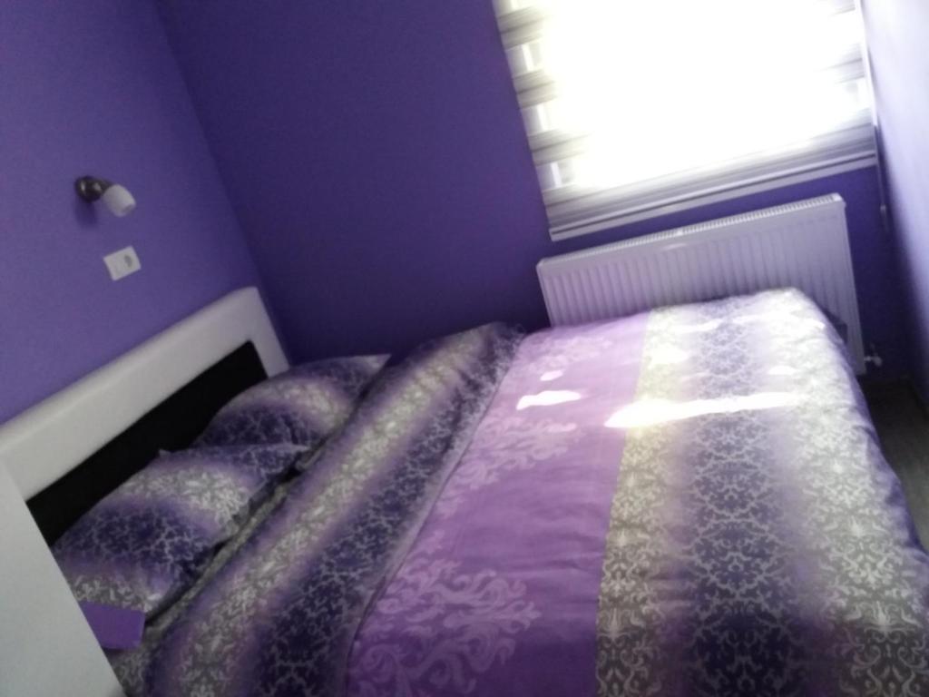 a bedroom with a bed with purple sheets and a window at Apartmani SAN in Nova Varoš