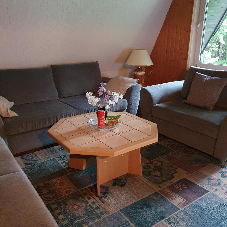 Posezení v ubytování Finnhaus Neubauer