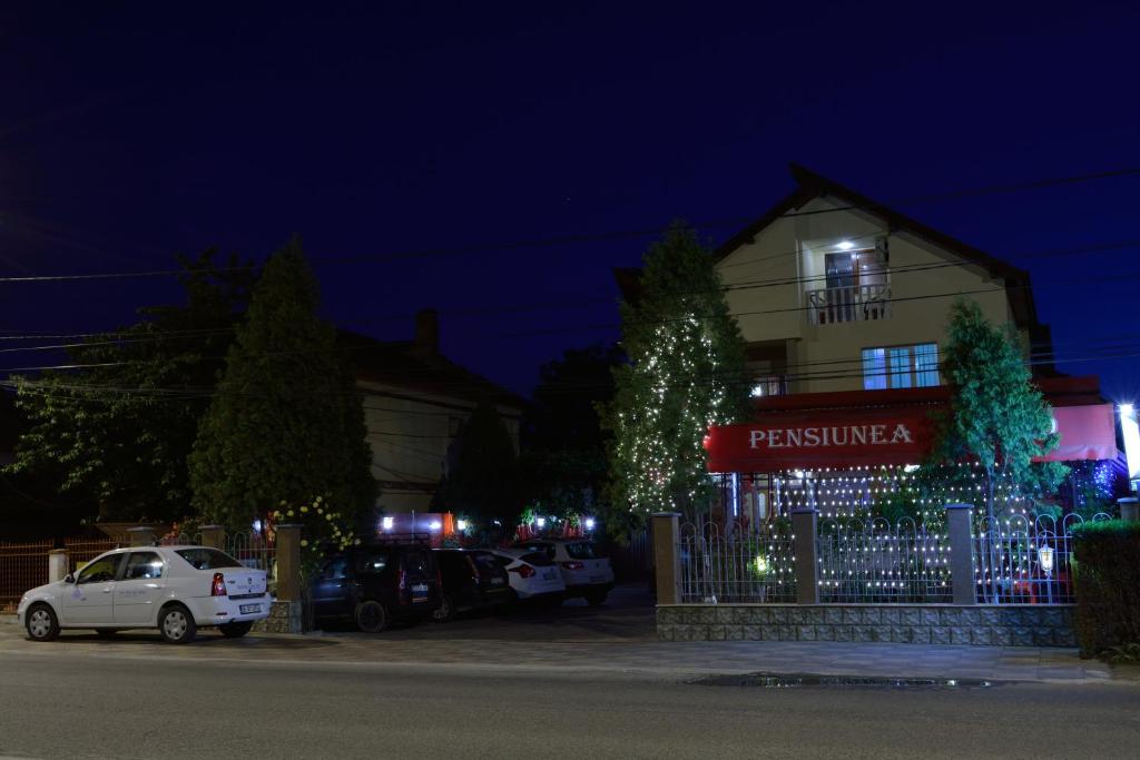 a house with christmas lights in front of it at Pensiunea Caro in Deva