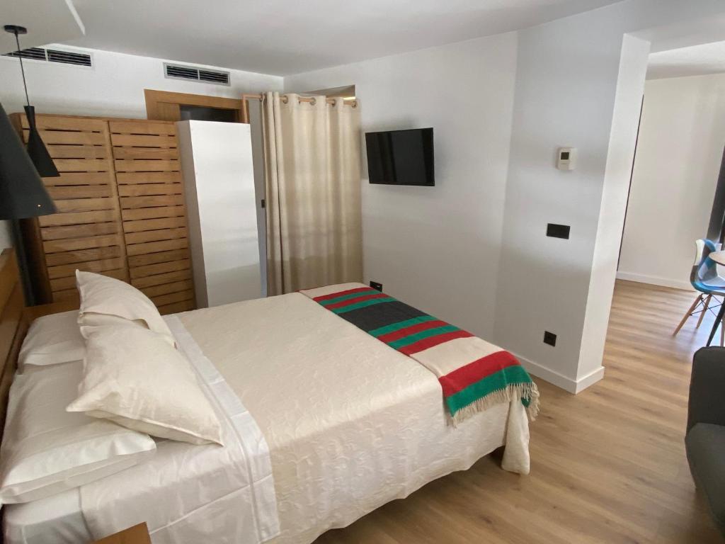 a bedroom with a bed and a television in it at Apartamentos Plaza Mayor Zamora in Zamora