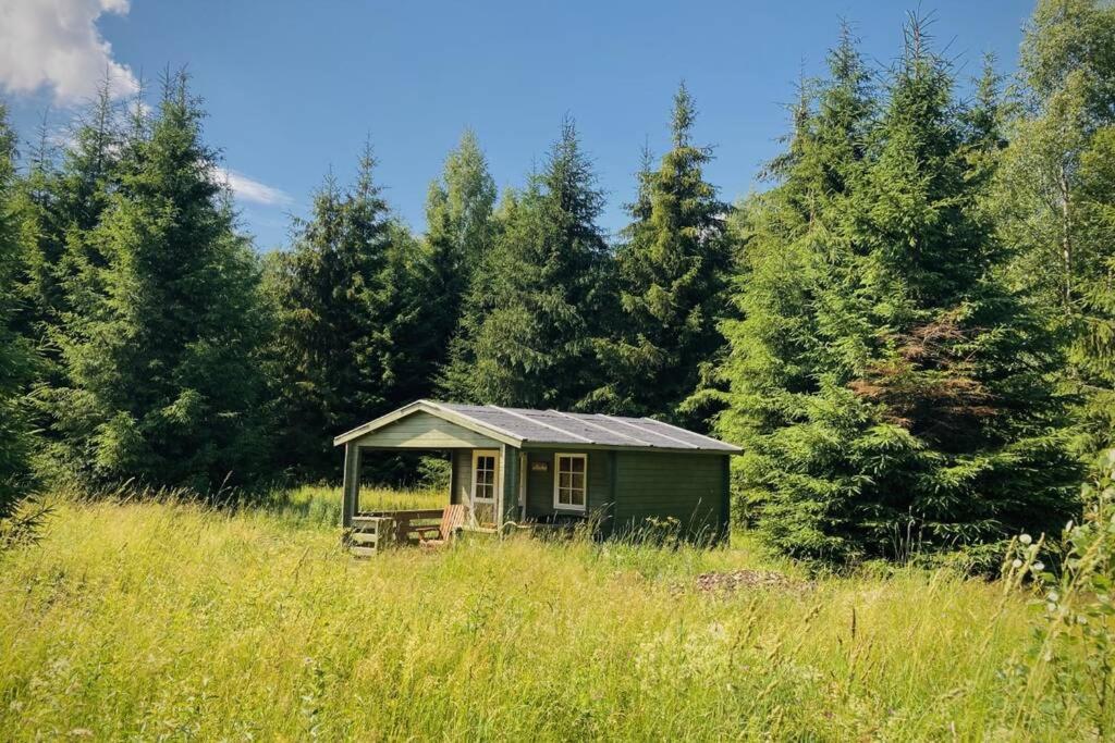 a small green cabin in the middle of a field at Nature retreat in a beautiful off-grid cabin in Rouge