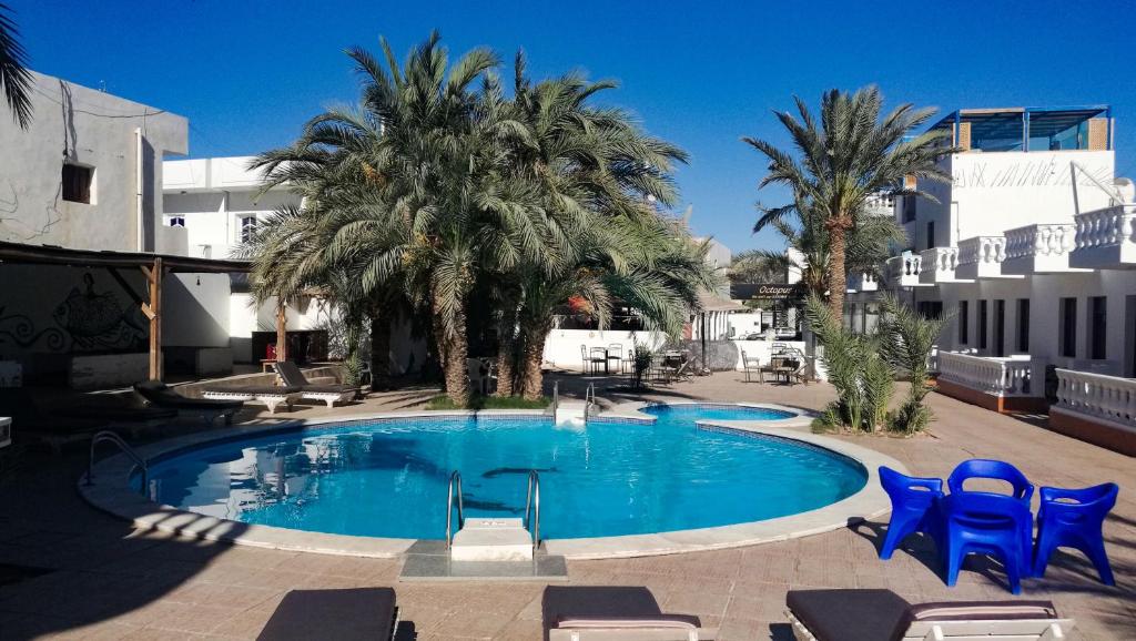 una piscina con sillas azules y palmeras en Octopus Hotel, en Dahab