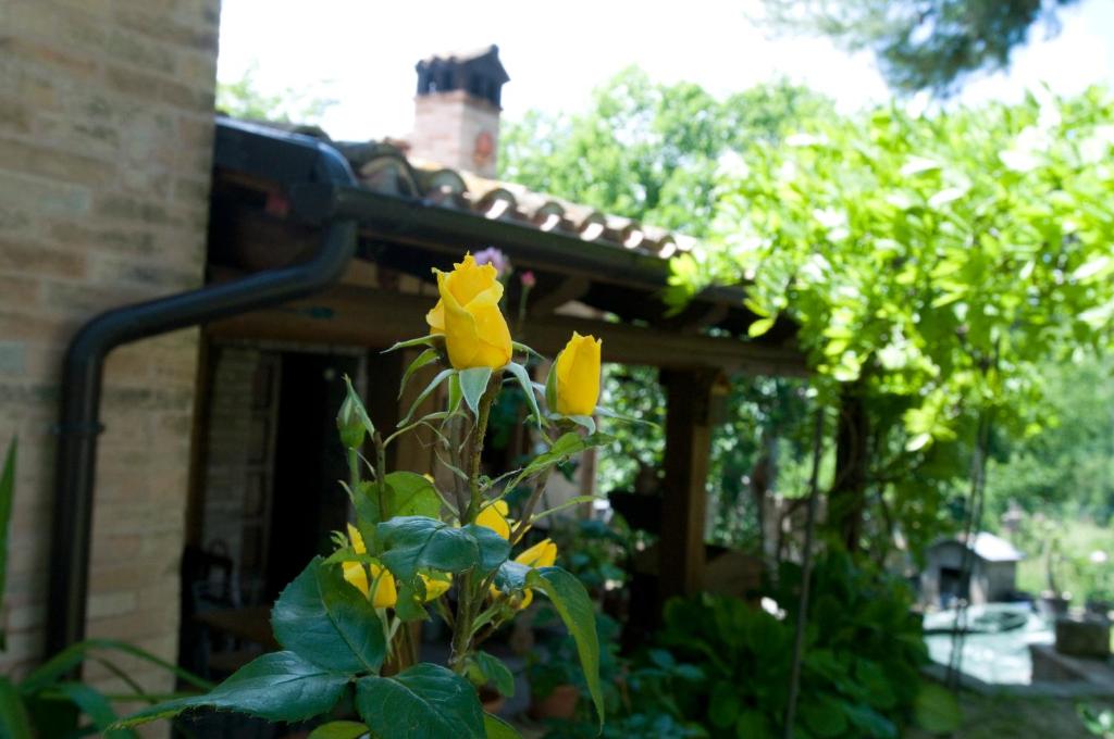 un giardino con fiori gialli di fronte a una casa di B&B La Cappellania a Montegiorgio