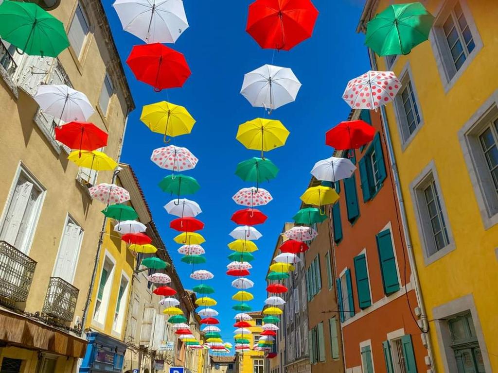découvrez une ancienne maison de drapier du XVII siecle au coeur de bastide - 1