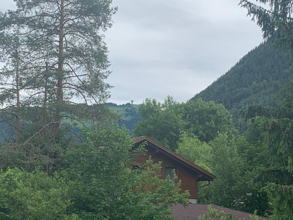 Příroda nedaleko apartmánu
