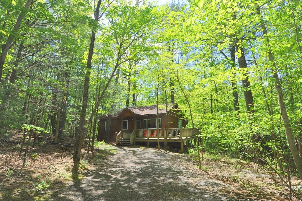 Cabin at Sleepy Creek Charming Cabin, Berkeley Springs (updated