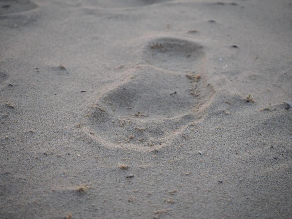 Fotografie z fotogalerie ubytování Zilt7 v destinaci Callantsoog