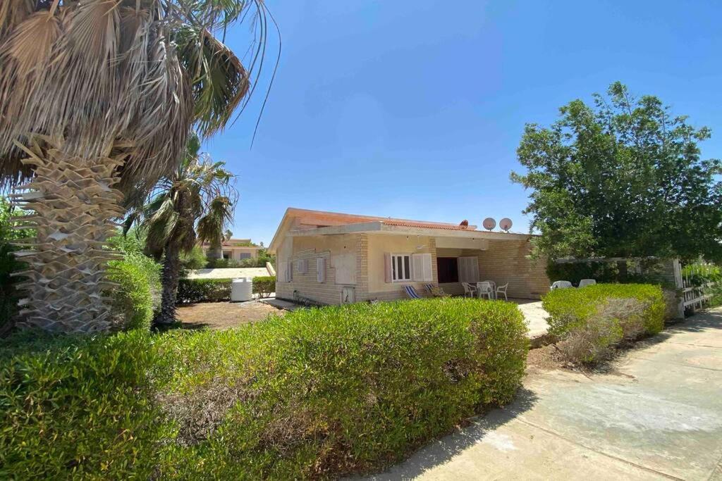 a house with a palm tree in front of it at A cheerful chalet villa few steps to the beachside in Marsa Matruh