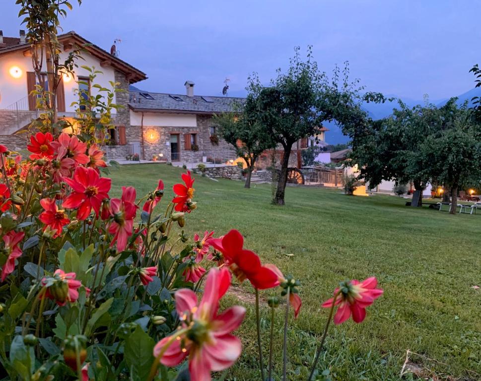 ogród z czerwonymi kwiatami przed domem w obiekcie La Volta - Lake Como Heritage Home in Molino Maufet Watermill - Patio on the garden w mieście Colico