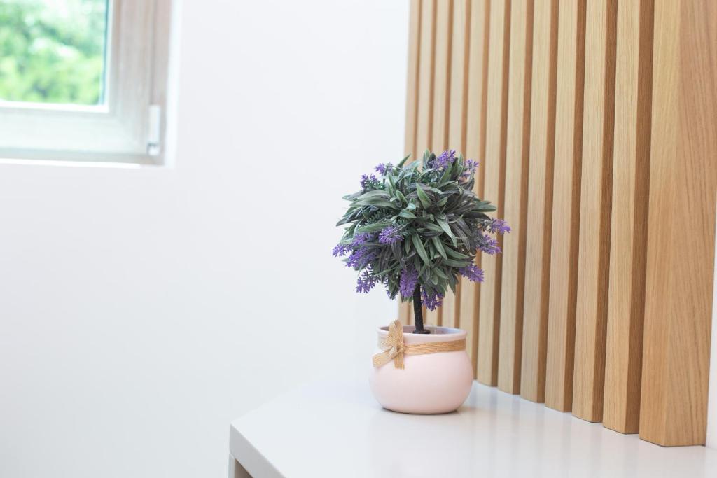Fotografie z fotogalerie ubytování Apartman DULY LUX v destinaci Pržno