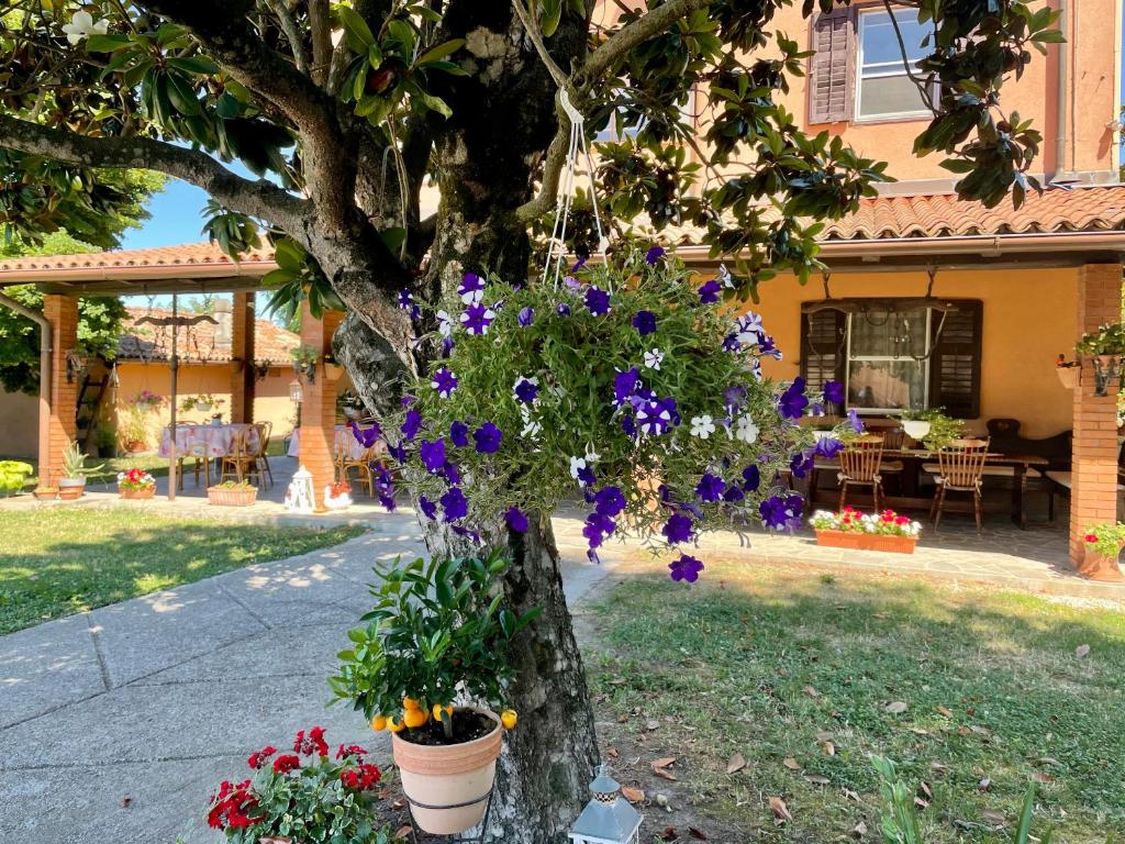 Zahrada ubytování Casa Bea