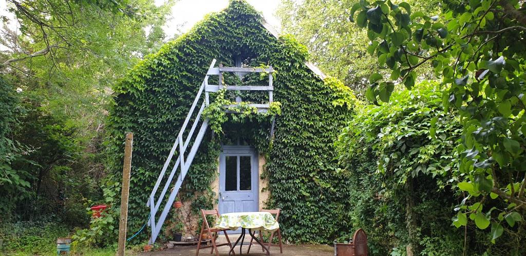 a ladder leading up to a house engulfed in ivy at Maison Fleurie in Coulonges