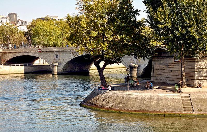 a group of people sitting under a tree next to a river at Appartement Notre Dame in Paris