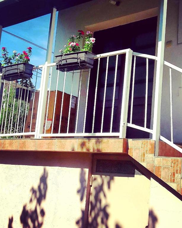 Balkón nebo terasa v ubytování Apartmani Centar Banja Vrujci