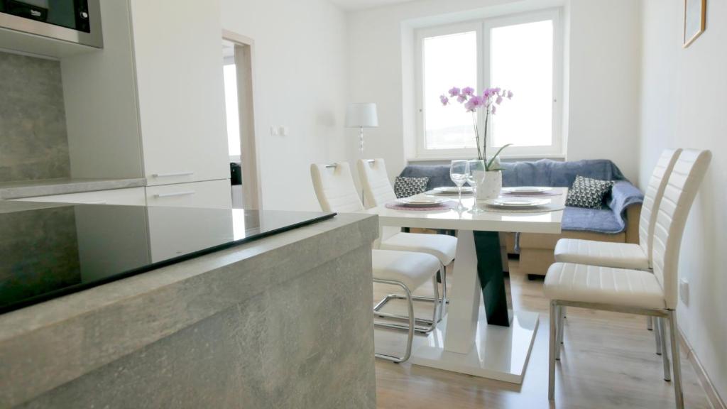 Kuchyň nebo kuchyňský kout v ubytování Apartmán u Louckého kláštera 2 plus KK
