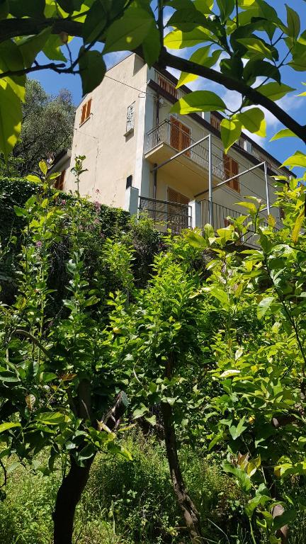 a building on the side of a hill with plants at La Casa Dei Limoni in Monterosso al Mare
