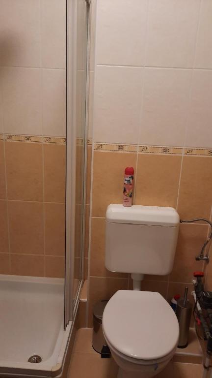 Koupelna v ubytování 4Season Apartman