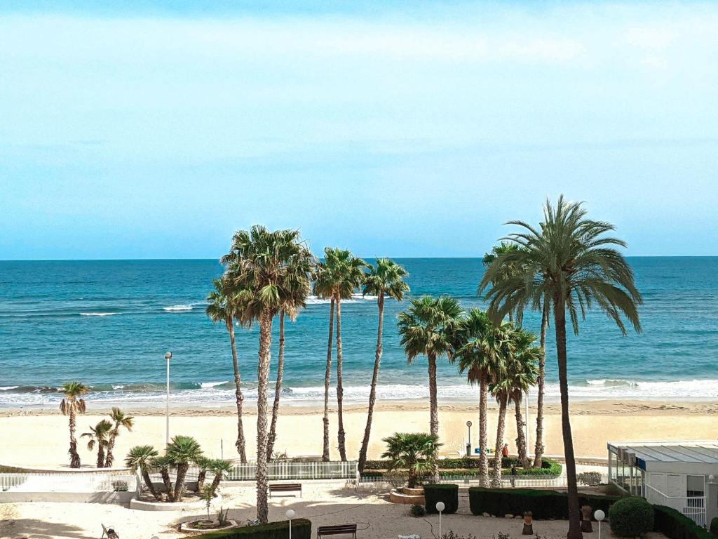 una spiaggia con palme e l'oceano di Cabeho Beach Homes a Calpe