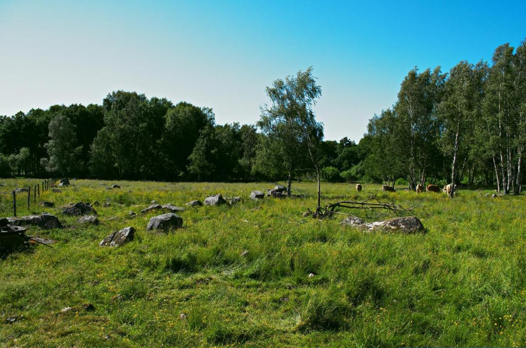 Příroda nedaleko apartmánu