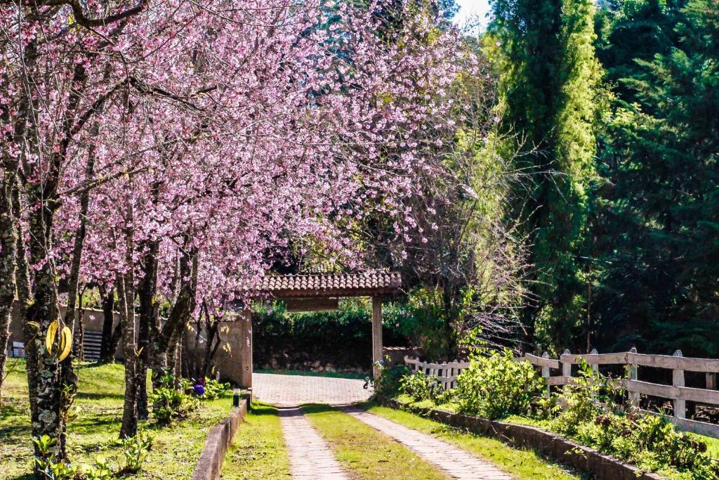 a park with trees with pink flowers and a bridge at Pousada das Flores in Gonçalves