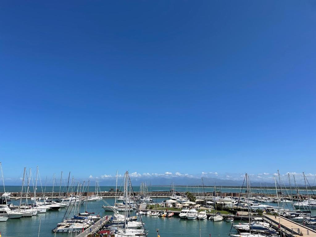 a bunch of boats are docked in a harbor at Villino Ermione in Marina di Pisa